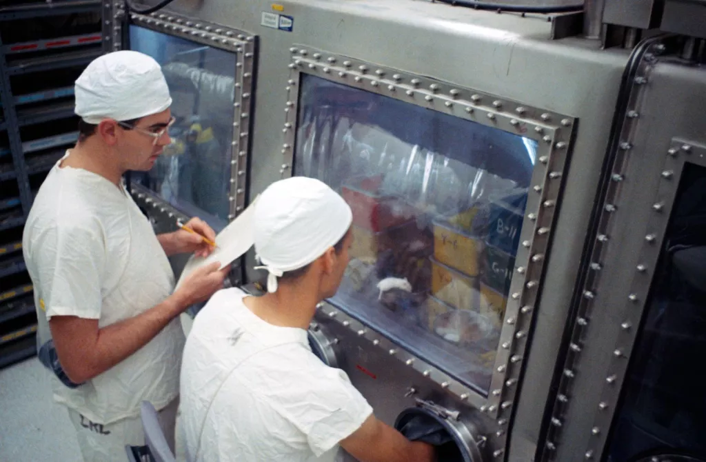 这张拍摄于 1969 年 8 月的照片，展示了实验室技术人员在研究被注射了由阿波罗 11 号带回的月球物质的小鼠