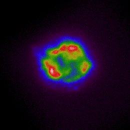 这张来自 NASA X-射线 成像偏振探测器的图像描绘了来自天文台第一个目标——超新星仙后座 A 的 X-射线 强度。颜色从冷紫色和蓝色到红色和热白色，都与 X-射线 的亮度增加相对应。这张图像是利用 IXPE 在1月11日至18日期间收集的 X-射线 数据制作的。