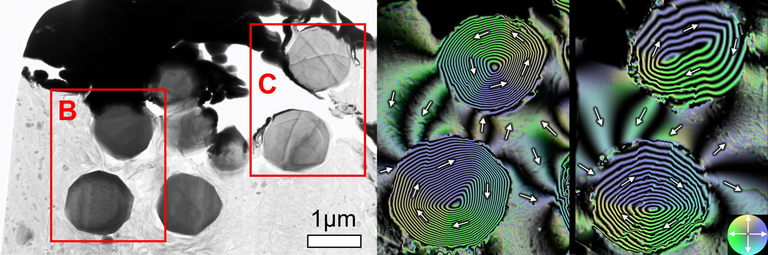 刻在球形磁铁矿 (Fe3O4) 晶体中的古地磁记录。 从Ryugu样品中提取的磁铁矿的透射电子显微镜图像（A）和通过电子全息术获得的磁通量分布图像（B，C）。 箭头和颜色表示磁化方向。 在颗粒内部看到的同心条纹表明磁场线沿箭头方向缠绕（称为螺旋磁畴结构）。 在粒子外部看到的磁场线是来自粒子的杂散磁场，反映了当琉球母体内部变暖并发生水和矿物质之间的反应时琉球的磁环境