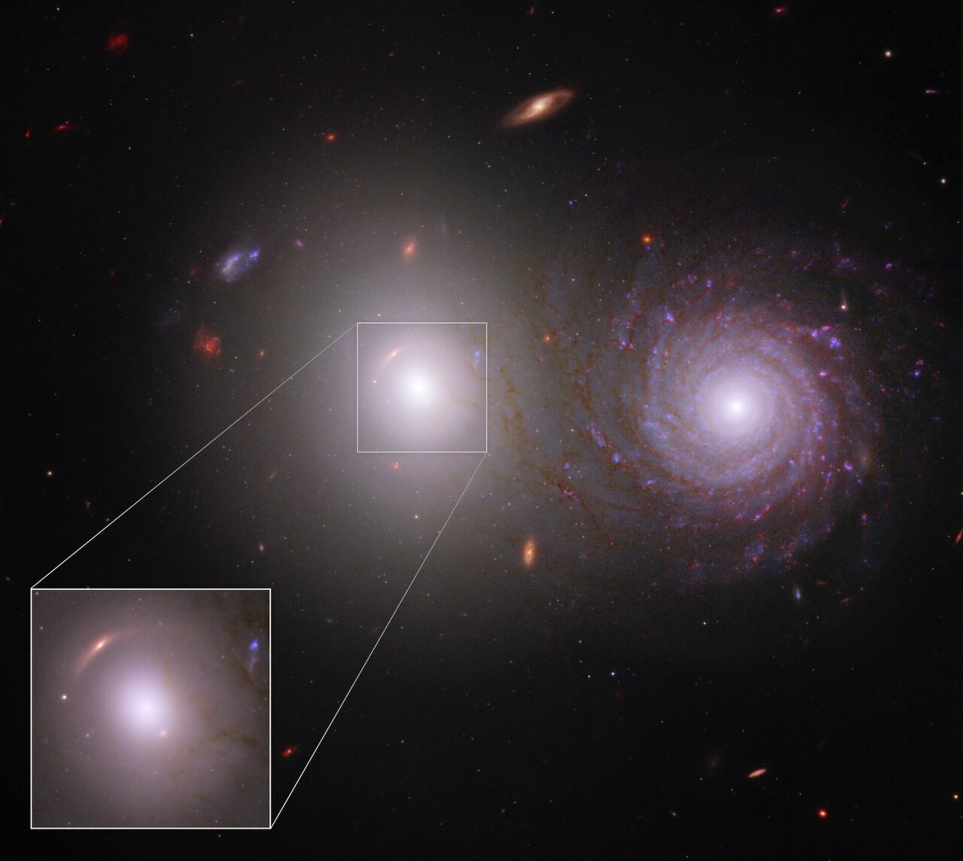 新发现的透镜星系